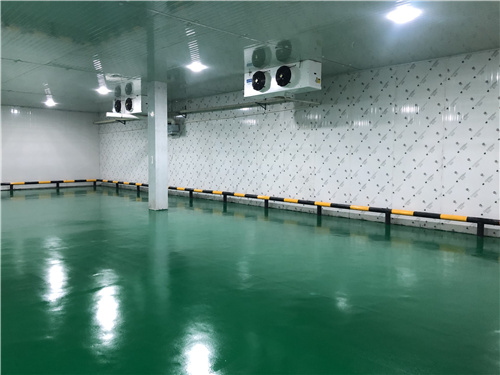 九州·体育蔬菜保鲜库 九州·体育蔬菜保鲜库